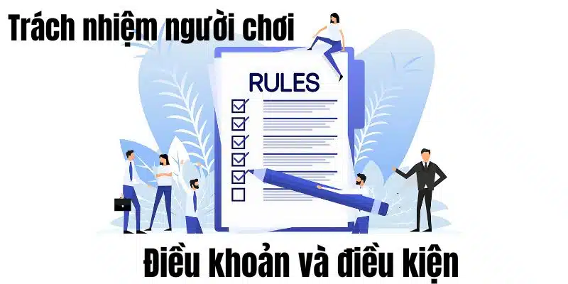 Trách nhiệm người chơi trong điều khoản và điều kiện Hello88